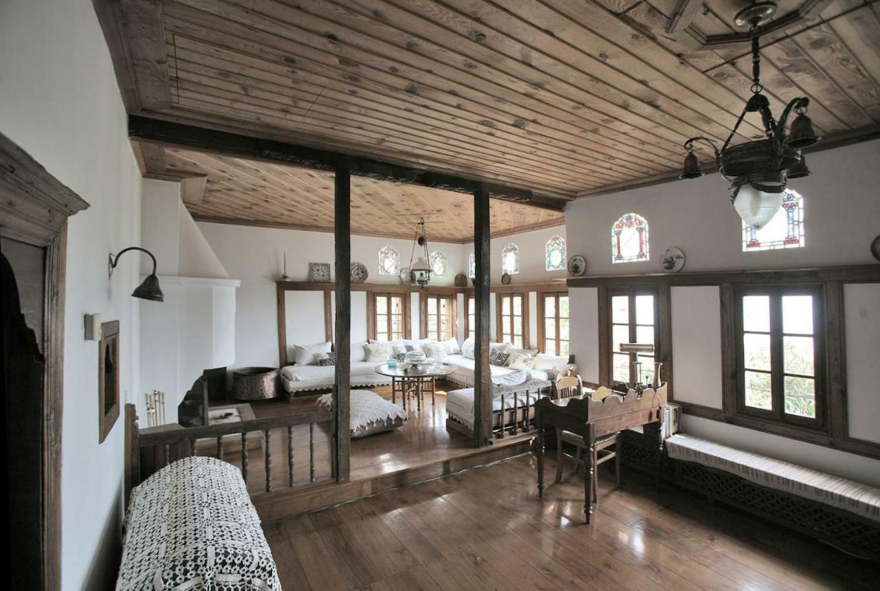 Pelion Belvedere - The Mansion Vizíca Kültér fotó